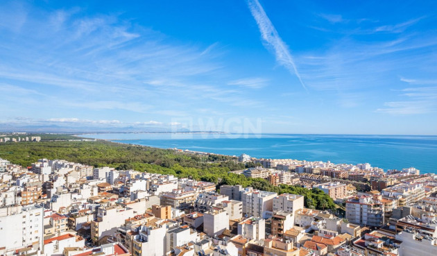 Apartamento / piso - Obra nueva - Guardamar del Segura - Guardamar