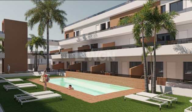 Apartamento / piso - Obra nueva - Pilar de la Horadada - pueblo