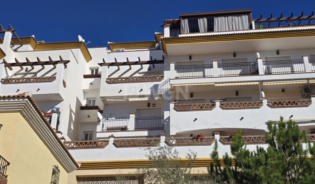 Apartamento / piso - Reventa - Alcaucín - Inland