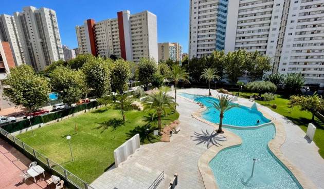 Apartamento / piso - Reventa - Benidorm - Benidorm