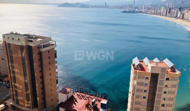 Apartamento / piso - Reventa - Benidorm - Costa Blanca