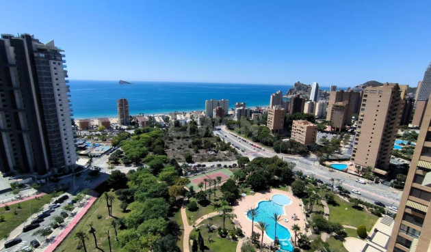 Apartamento / piso - Reventa - Benidorm - Costa Blanca