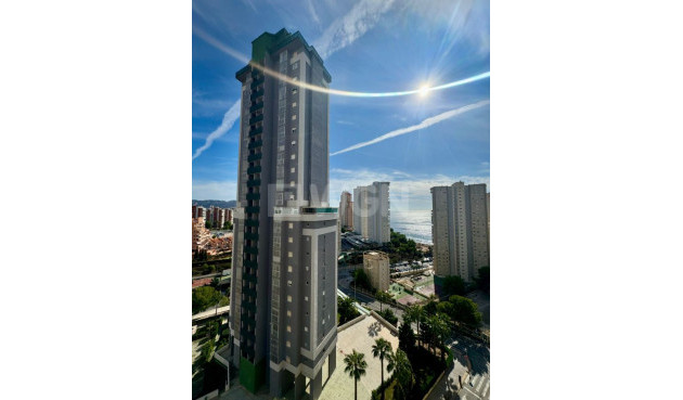 Apartamento / piso - Reventa - Benidorm - Costa Blanca