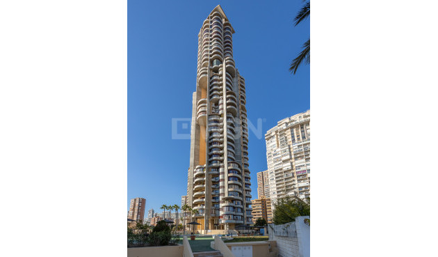 Apartamento / piso - Reventa - Benidorm - Costa Blanca