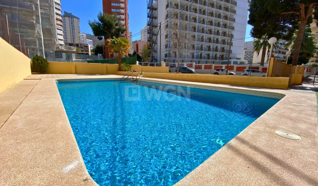 Apartamento / piso - Reventa - Benidorm - Costa Blanca