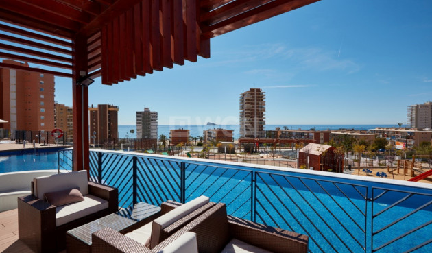 Apartamento / piso - Reventa - Benidorm - Costa Blanca