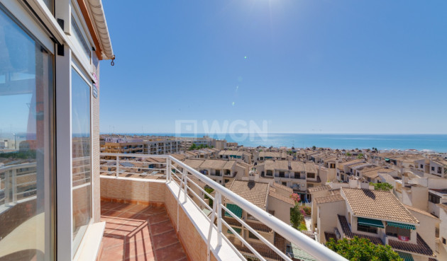 Apartamento / piso - Reventa - Guardamar del Segura - 93796