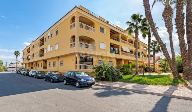 Apartamento / piso - Reventa - Jacarilla - 89766