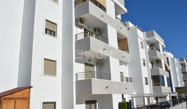 Apartamento / piso - Reventa - San Miguel de Salinas - Costa Blanca
