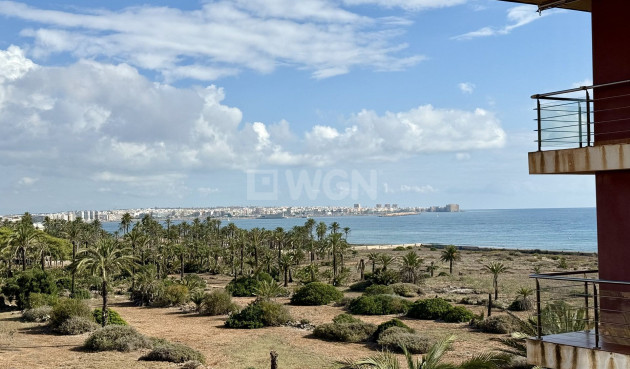 Apartamento / piso - Reventa - Torrevieja - 37514