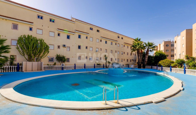 Apartamento / piso - Reventa - Torrevieja - La Siesta - El Salado - Torreta