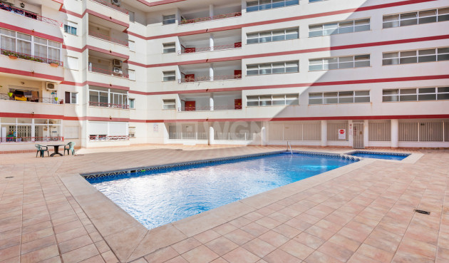 Apartamento / piso - Reventa - Torrevieja - PARQUE DE LAS NACIONES