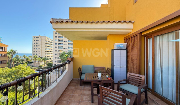 Apartamento / piso - Reventa - Torrevieja - Punta Prima