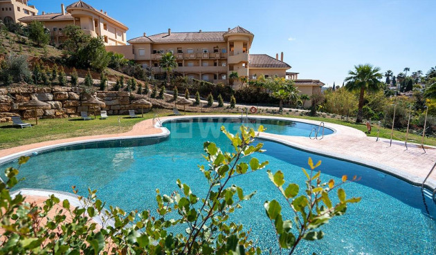 Apartment / flat - New Build - Marbella - NB-48386