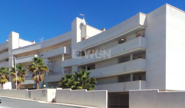 Apartment / flat - New Build - Orihuela Costa - PAU 8