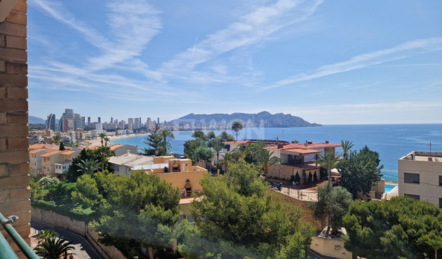 Apartment / flat - Resale - Benidorm - Costa Blanca