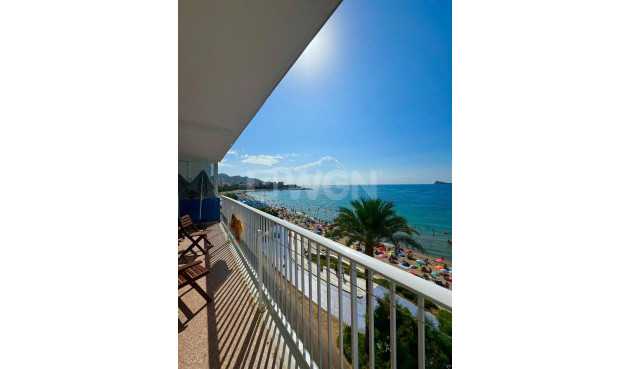 Apartment / flat - Resale - Benidorm - Costa Blanca