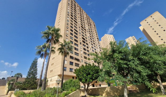 Apartment / flat - Resale - Benidorm - Costa Blanca