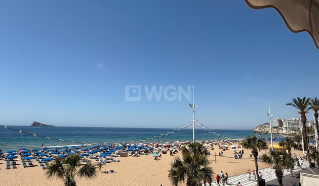 Apartment / flat - Resale - Benidorm - Costa Blanca