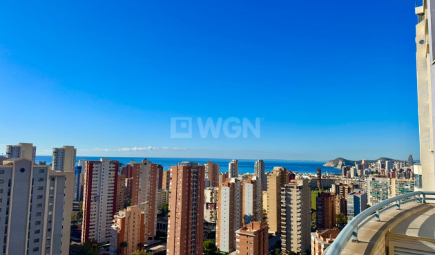 Apartment / flat - Resale - Benidorm - Costa Blanca