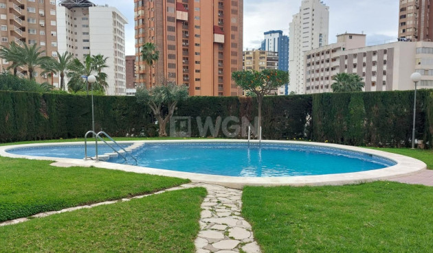 Apartment / flat - Resale - Benidorm - Levante