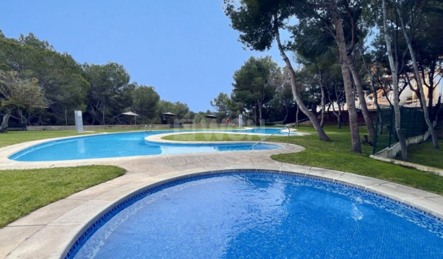 Apartment / flat - Resale - Cabo Roig - Costa Blanca