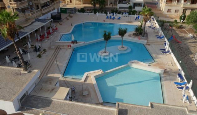 Apartment / flat - Resale - Guardamar del Segura - 92464