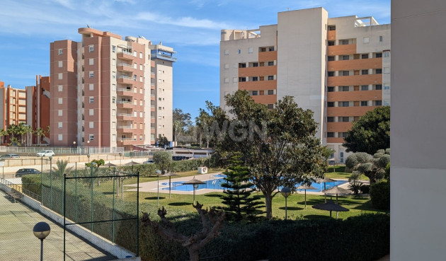 Apartment / flat - Resale - Guardamar del Segura - Costa Blanca