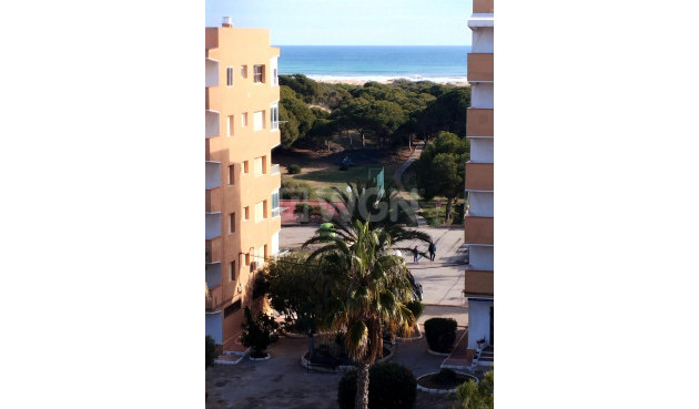 Apartment / flat - Resale - Guardamar del Segura - Pinomar