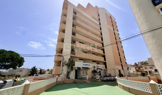 Apartment / flat - Resale - La Mata - Costa Blanca