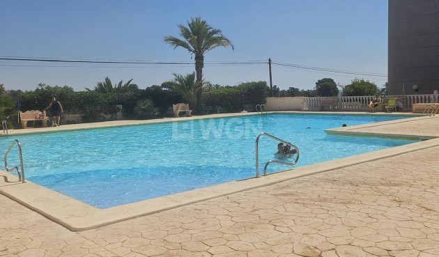 Apartment / flat - Resale - Orihuela Costa - 93024