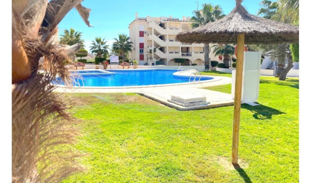 Apartment / flat - Resale - Playa Flamenca - Costa Blanca