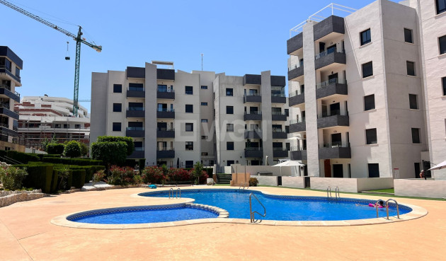 Apartment / flat - Resale - San Miguel de Salinas - Inland