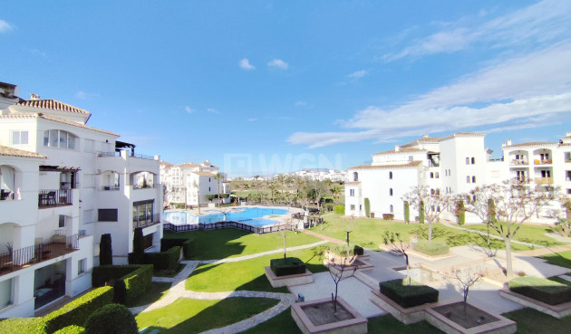 Apartment / flat - Resale - Torre Pacheco - Roldán