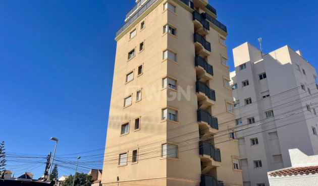Apartment / flat - Resale - Torrevieja - 65971