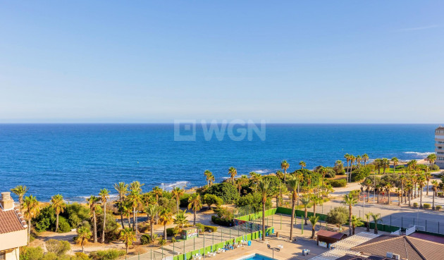 Apartment / flat - Resale - Torrevieja - Cabo Cervera