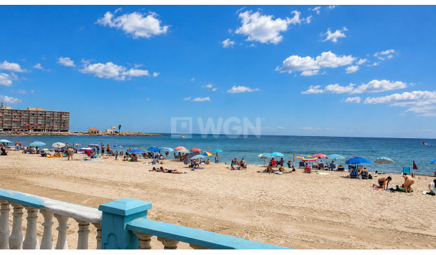 Apartment / flat - Resale - Torrevieja - Costa Blanca