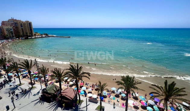 Apartment / flat - Resale - Torrevieja - Costa Blanca