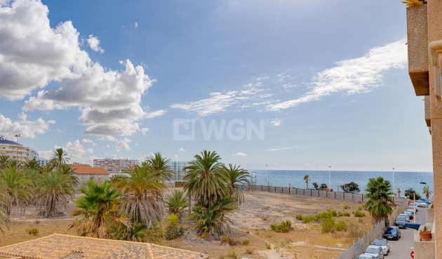 Apartment / flat - Resale - Torrevieja - Costa Blanca