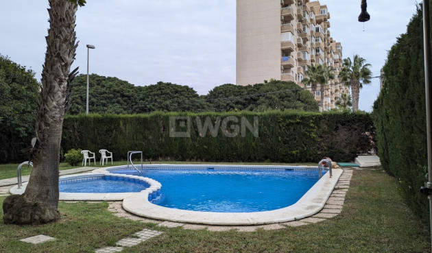 Apartment / flat - Resale - Torrevieja - Costa Blanca