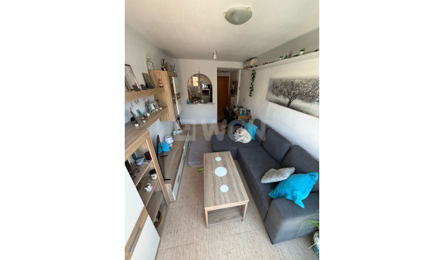 Apartment / flat - Resale - Torrevieja - Costa Blanca