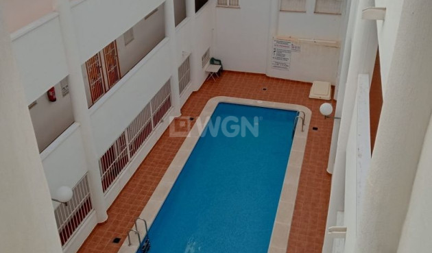 Apartment / flat - Resale - Torrevieja - Costa Blanca