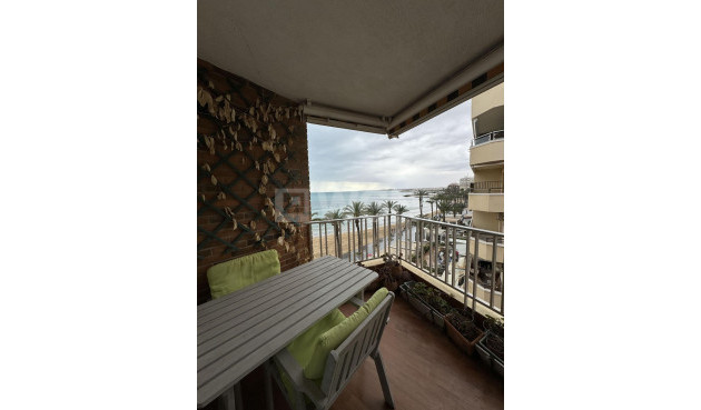 Apartment / flat - Resale - Torrevieja - Playa del Cura