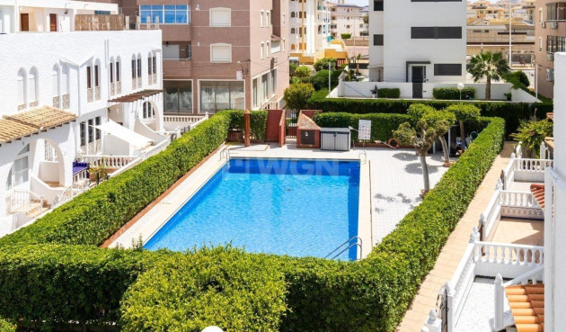 Bungalow - Odsprzedaż - Torrevieja - La Mata