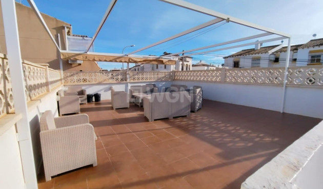 Bungalow - Resale - San Miguel de Salinas - Inland