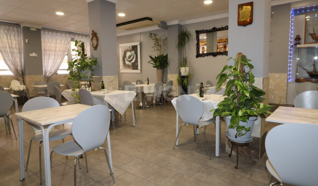 Comercial - Reventa - Torrevieja - Playa del Cura