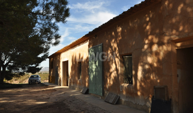 Country House - Odsprzedaż - Yecla - Inland