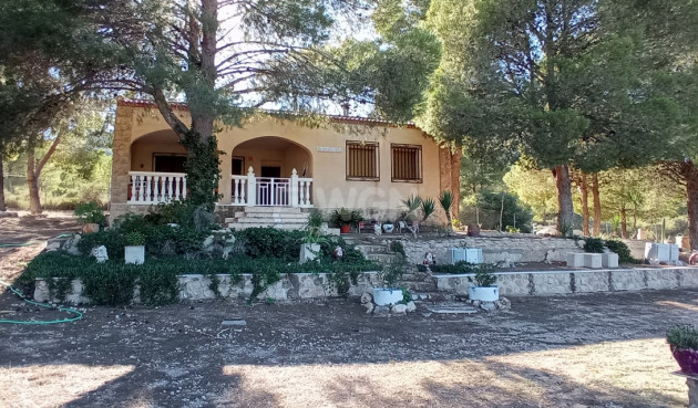 Country House - Resale - Yecla - Inland