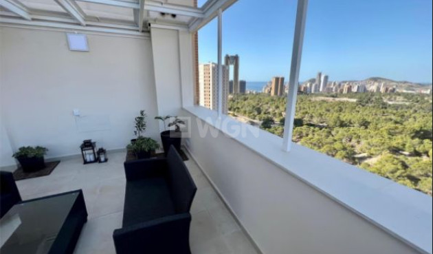 Daszek - Odsprzedaż - Benidorm - 25865