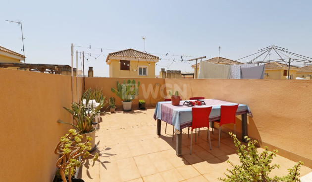 Daszek - Odsprzedaż - Formentera del Segura - Pueblo 5